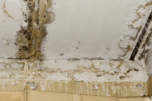Best Post-Remediation Verification Testing  in Congress, AZ