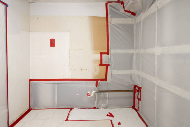Trusted Congress, AZ Mold Removal Experts